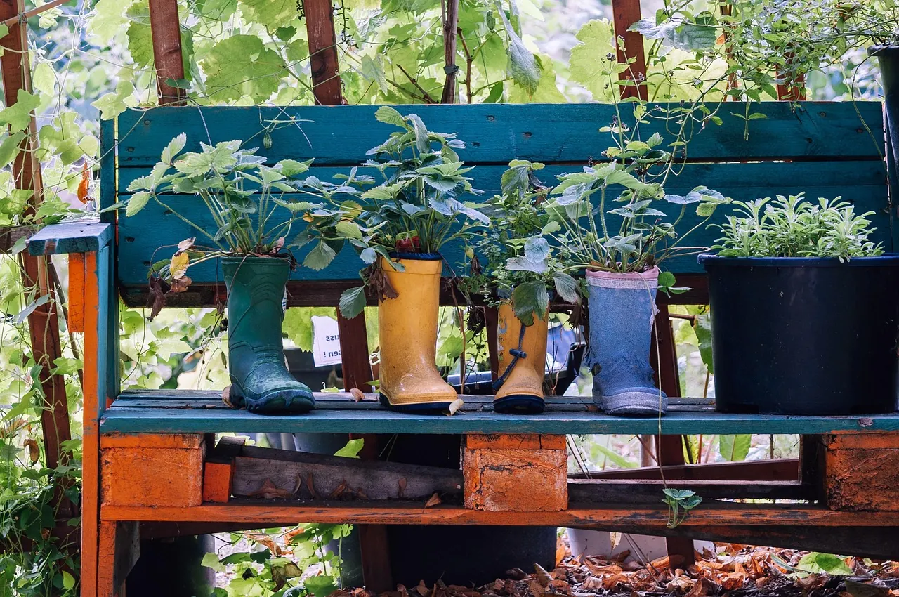 bangku dengan tanaman pot
