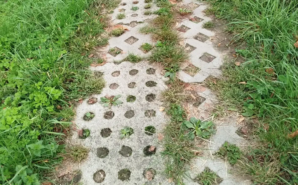 jalur grass block beton berlubang yang ditumbuhi rumput