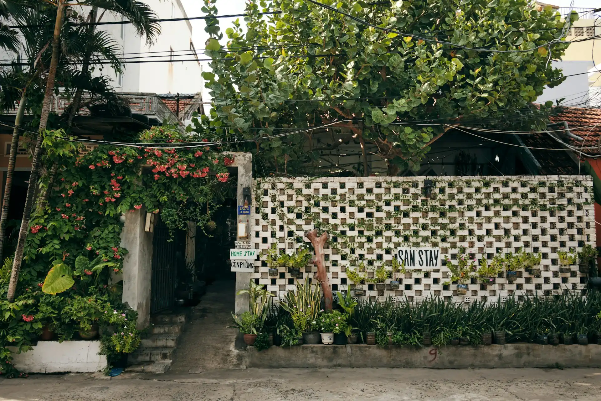 pintu masuk dengan dinding roster putih