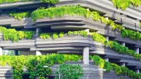 gedung-beton-tertutup-pohon gedung beton yang dipenuhi pepohonan