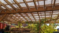 Pergola kayu beratap lembaran plastik gelombang bening dengan tanaman rambat di bawahnya