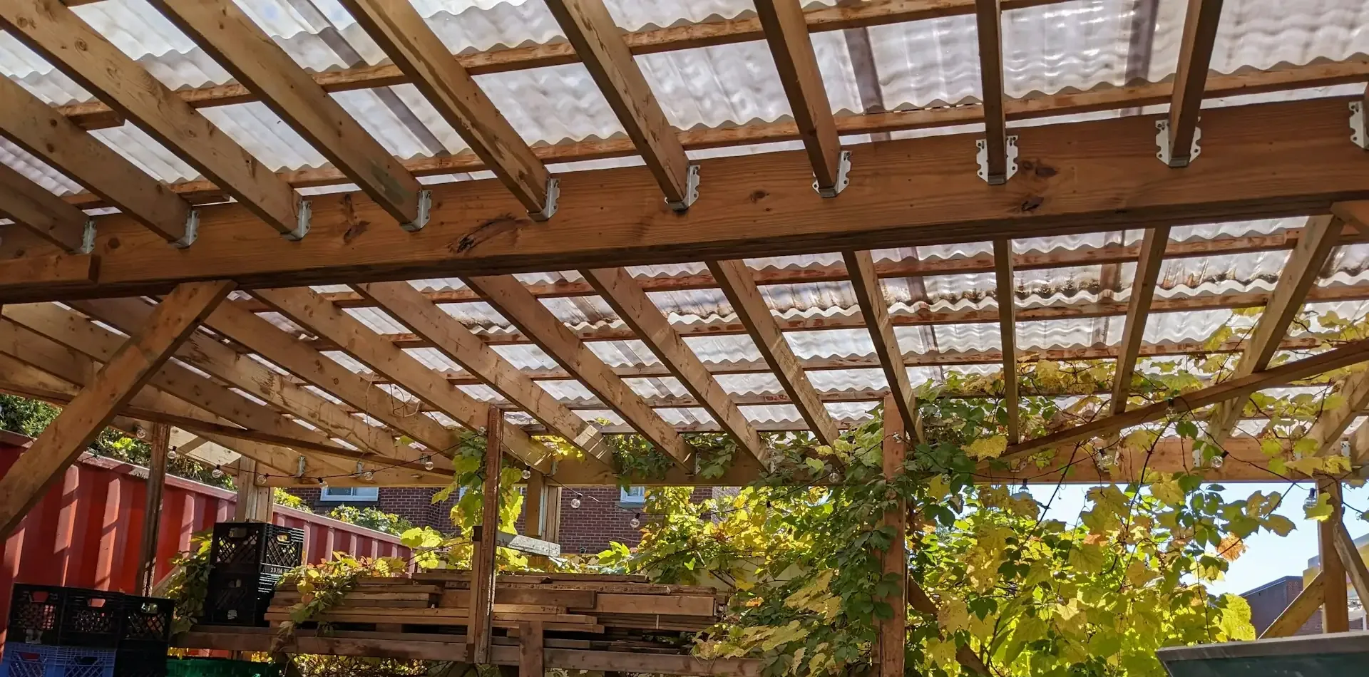 Pergola atap plastik gelombang bening Pergola kayu beratap lembaran plastik gelombang bening dengan tanaman rambat di bawahnya