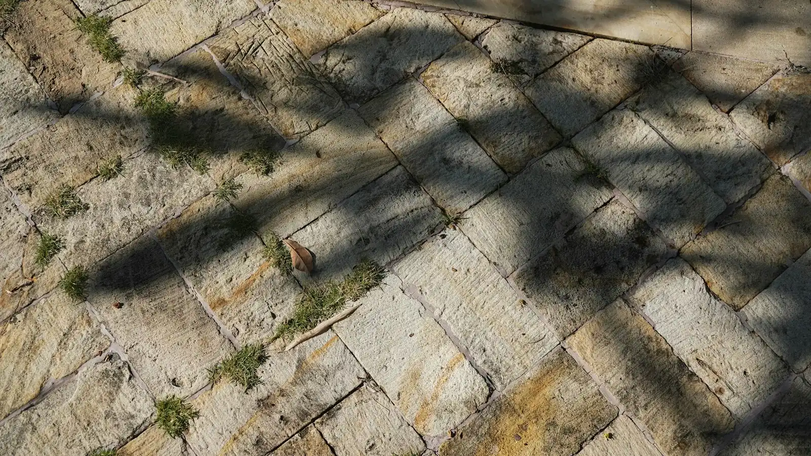 Lantai luar dari lempengan batu alam krem persegi panjang bertekstur kasar dengan rumput tumbuh di sela nat