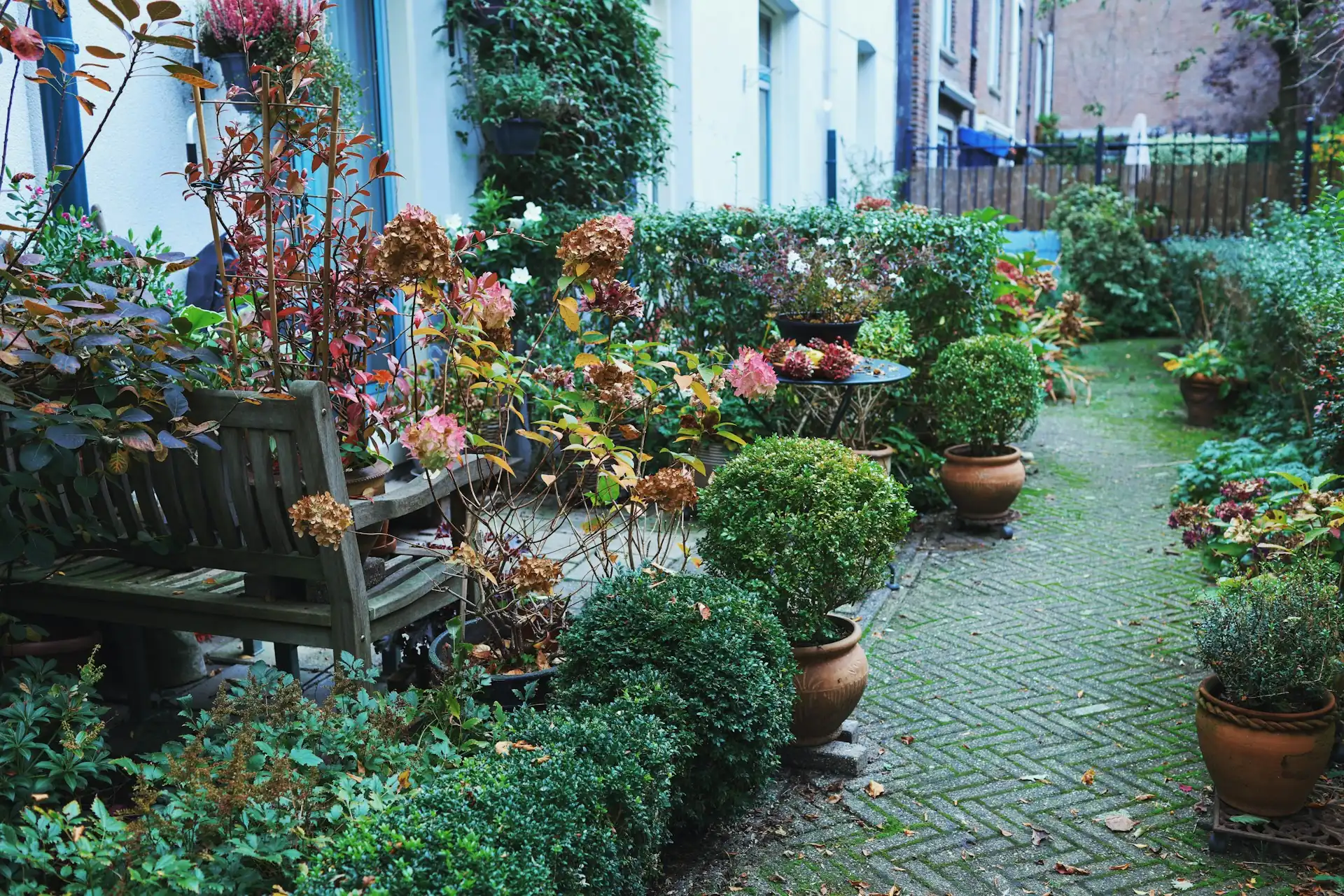 Lorong taman dengan paving berlumut, pot tanaman, dan bangku kayu