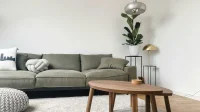 ruang-tamu-rumah-japandi-sofa-rendah Ruang tamu rumah japandi dengan sofa rendah hijau zaitun, meja kopi kayu, karpet krem, dan tanaman pot