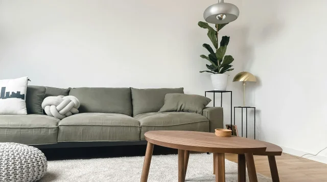 Ruang tamu rumah japandi dengan sofa rendah hijau zaitun, meja kopi kayu, karpet krem, dan tanaman pot