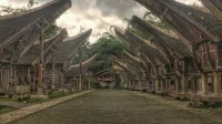 deretan rumah adat Tongkonan dengan atap melengkung seperti perahu di Toraja