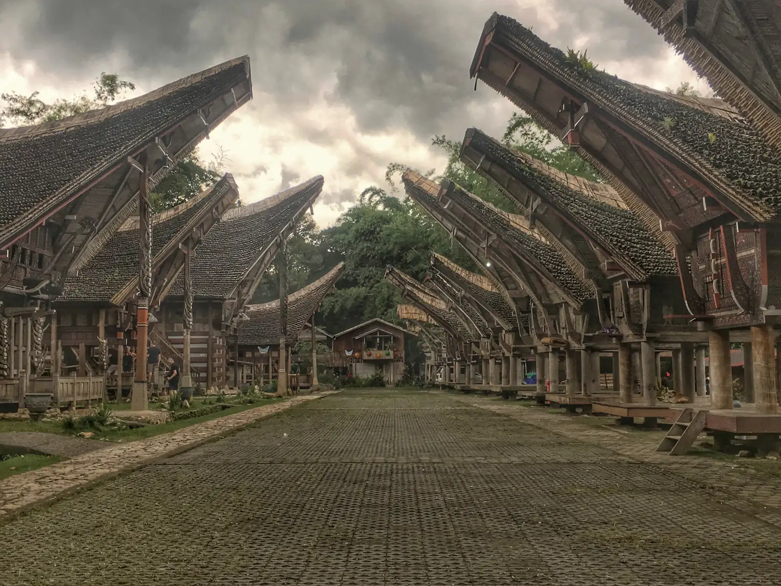 deretan rumah adat Tongkonan dengan atap melengkung seperti perahu di Toraja