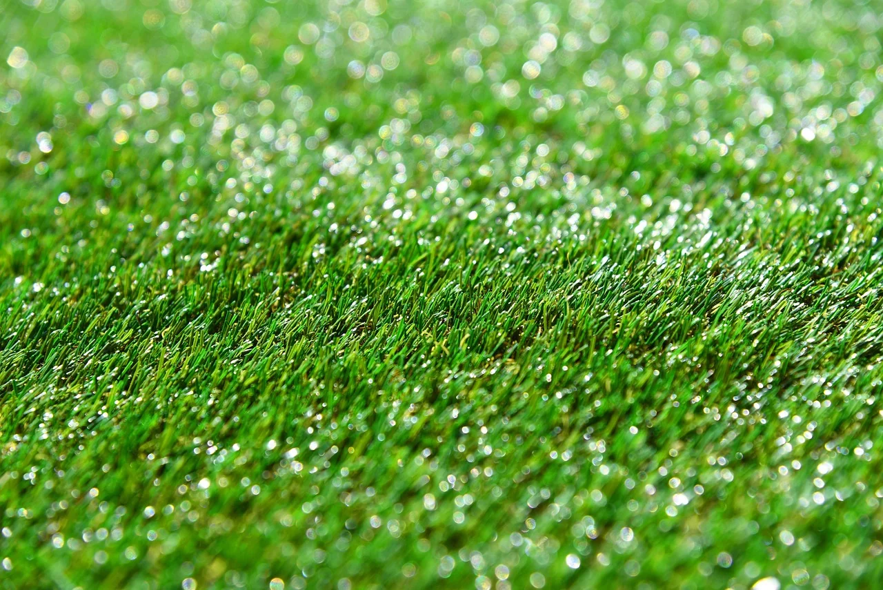 Permukaan rumput sintetis berserat rapat yang basah