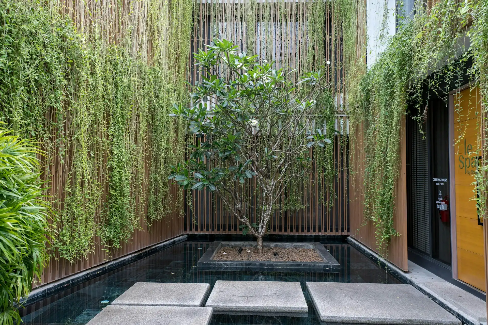 taman dalam terbuka dengan pohon kamboja, kolam, dan kisi kayu