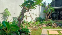 taman rumah tropis dengan jalur batu dan pohon kamboja di Jakarta