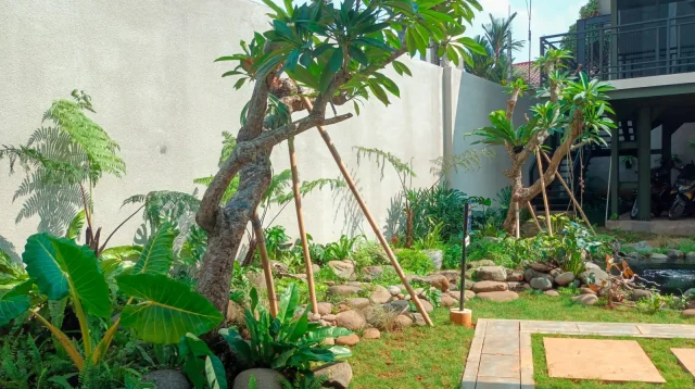 taman rumah tropis dengan jalur batu dan pohon kamboja di Jakarta