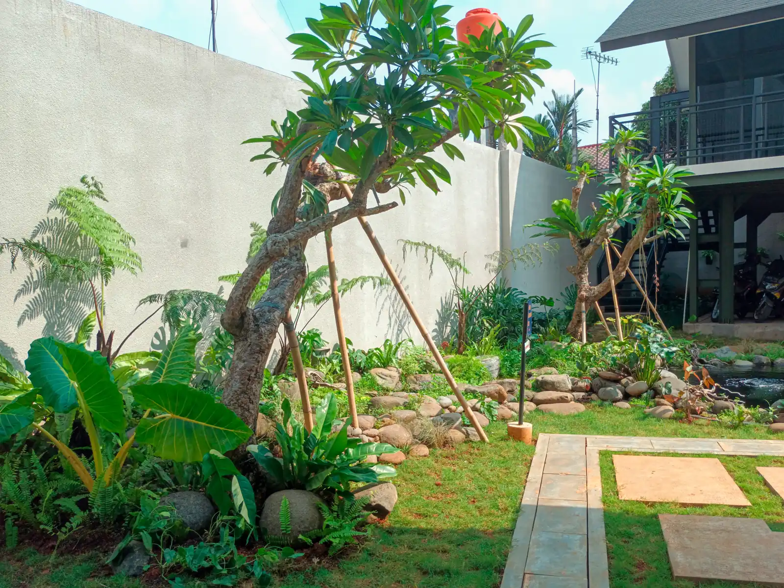 taman rumah tropis dengan jalur batu dan pohon kamboja di Jakarta